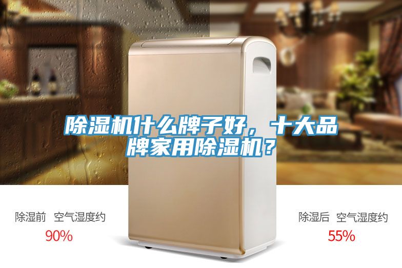 除濕機(jī)什么牌子好，十大品牌家用除濕機(jī)？