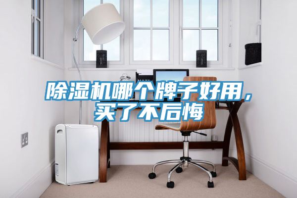 除濕機哪個牌子好用，買了不后悔