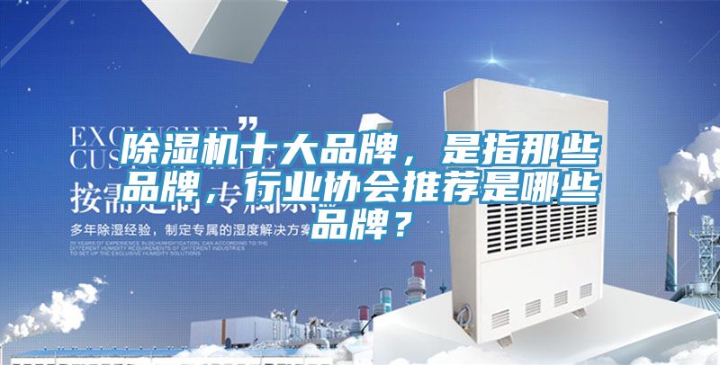 除濕機(jī)十大品牌，是指那些品牌，行業(yè)協(xié)會(huì)推薦是哪些品牌？