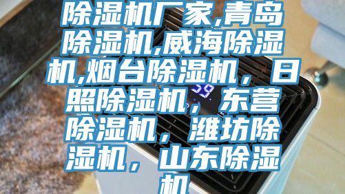 除濕機(jī)廠家,青島除濕機(jī),威海除濕機(jī),煙臺(tái)除濕機(jī)，日照除濕機(jī)，東營(yíng)除濕機(jī)，濰坊除濕機(jī)，山東除濕機(jī)