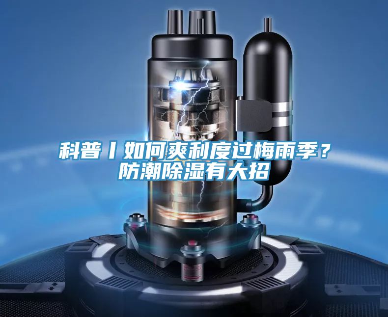 科普丨如何爽利度過梅雨季？防潮除濕有大招