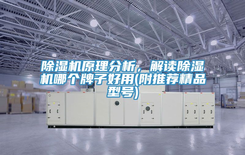 除濕機原理分析，解讀除濕機哪個牌子好用(附推薦精品型號)