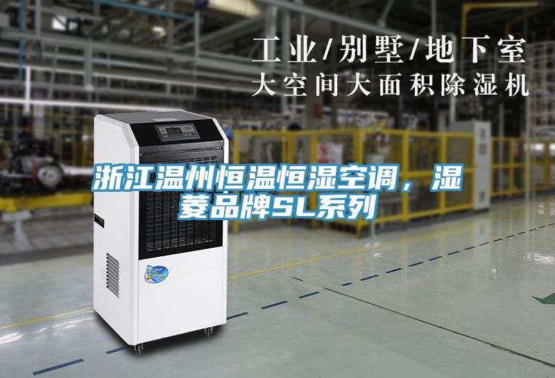 浙江溫州恒溫恒濕空調(diào)，濕菱品牌SL系列