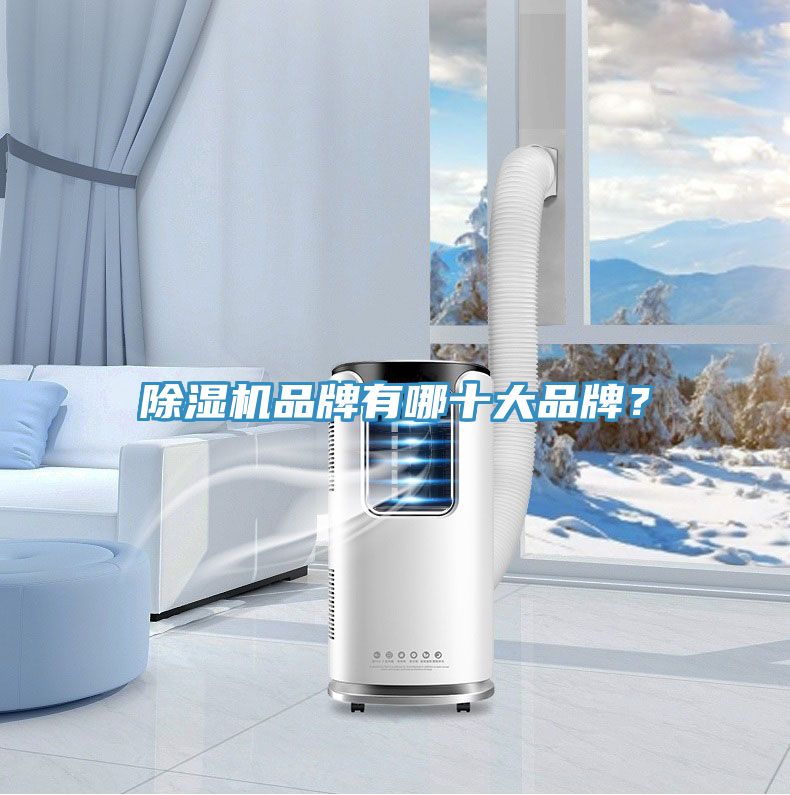 除濕機(jī)品牌有哪十大品牌？