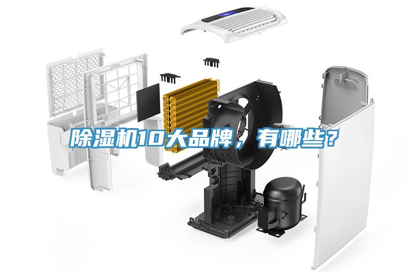 除濕機(jī)10大品牌，有哪些？