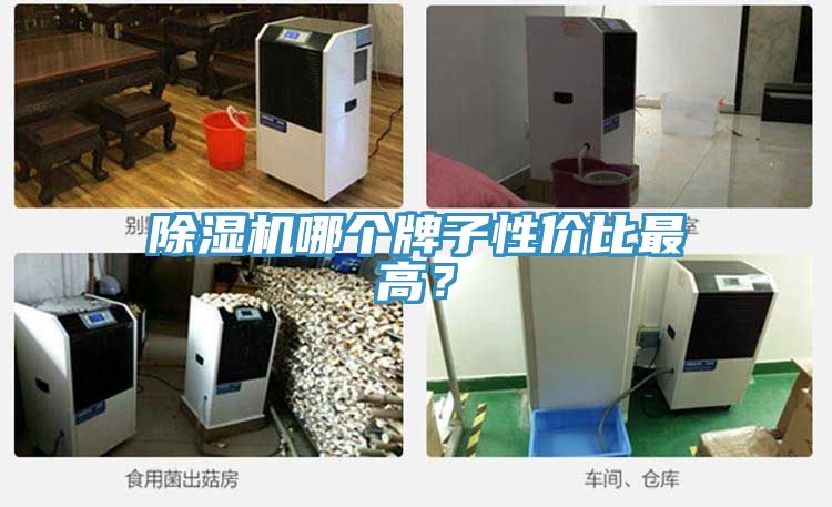 除濕機哪個牌子性價比最高？