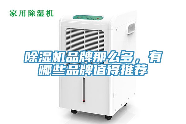 除濕機(jī)品牌那么多，有哪些品牌值得推薦