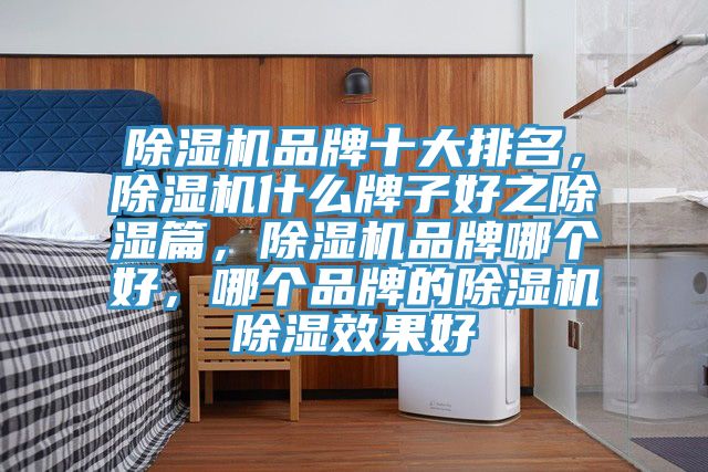 除濕機(jī)品牌十大排名，除濕機(jī)什么牌子好之除濕篇，除濕機(jī)品牌哪個(gè)好，哪個(gè)品牌的除濕機(jī)除濕效果好