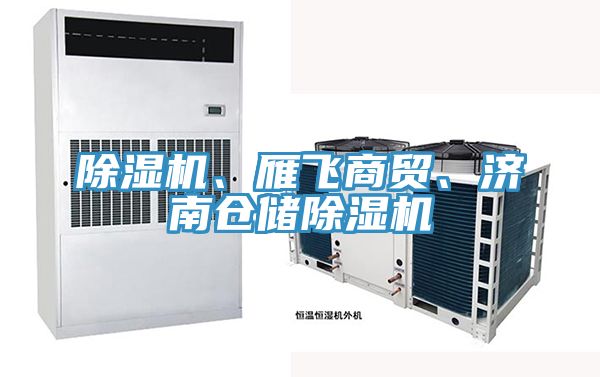 除濕機(jī)、雁飛商貿(mào)、濟(jì)南倉儲(chǔ)除濕機(jī)