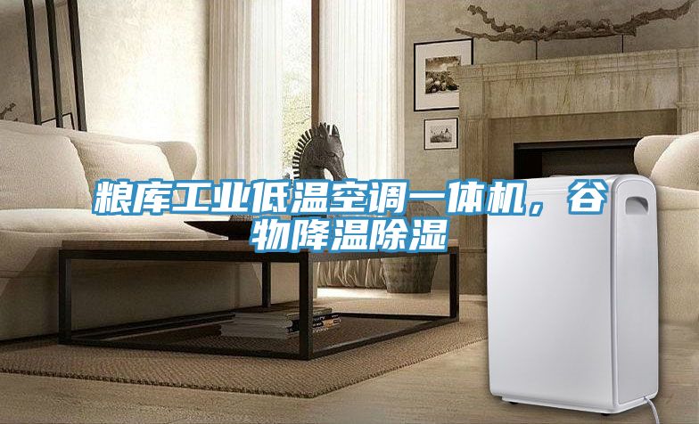 糧庫工業(yè)低溫空調(diào)一體機(jī)，谷物降溫除濕