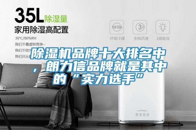 除濕機品牌十大排名中，朗力信品牌就是其中的“實力選手”