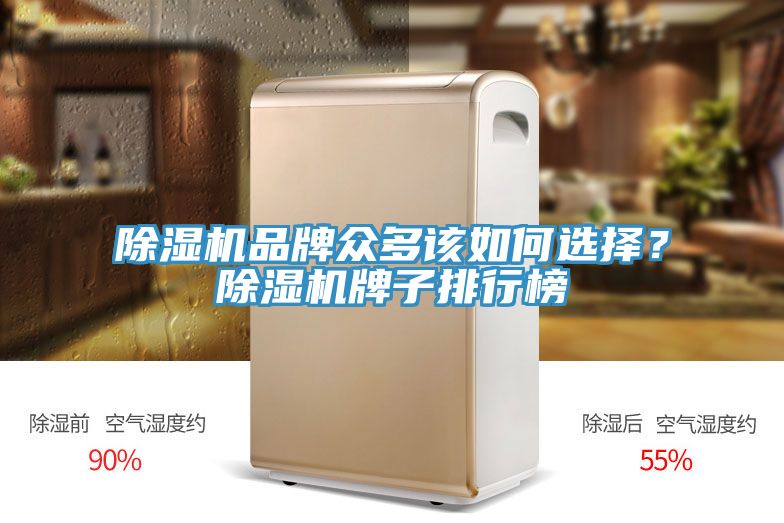除濕機(jī)品牌眾多該如何選擇？除濕機(jī)牌子排行榜