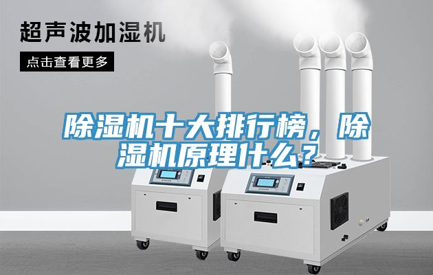 除濕機十大排行榜，除濕機原理什么？