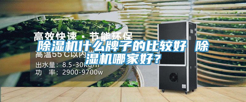 除濕機什么牌子的比較好 除濕機哪家好？