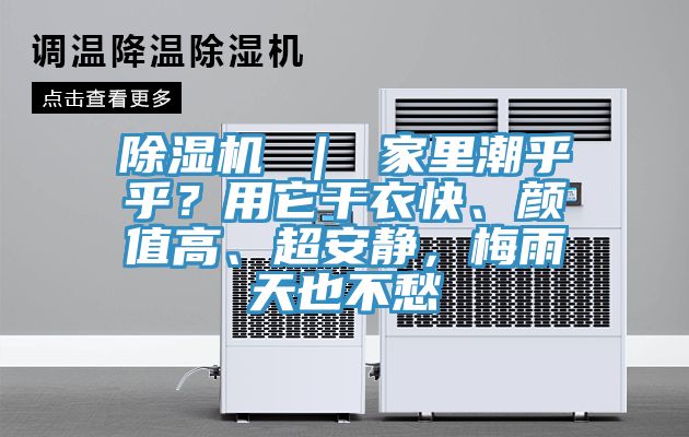 除濕機(jī) ｜ 家里潮乎乎？用它干衣快、顏值高、超安靜，梅雨天也不愁