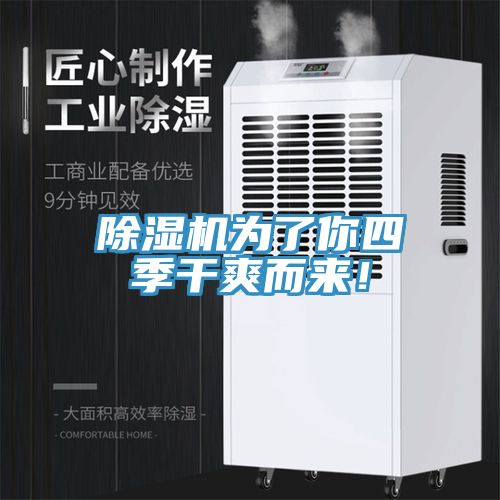 除濕機為了你四季干爽而來！