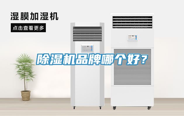 除濕機(jī)品牌哪個(gè)好？