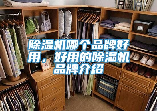 除濕機(jī)哪個(gè)品牌好用，好用的除濕機(jī)品牌介紹