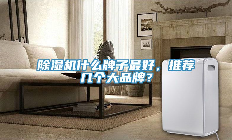 除濕機(jī)什么牌子最好，推薦幾個大品牌？