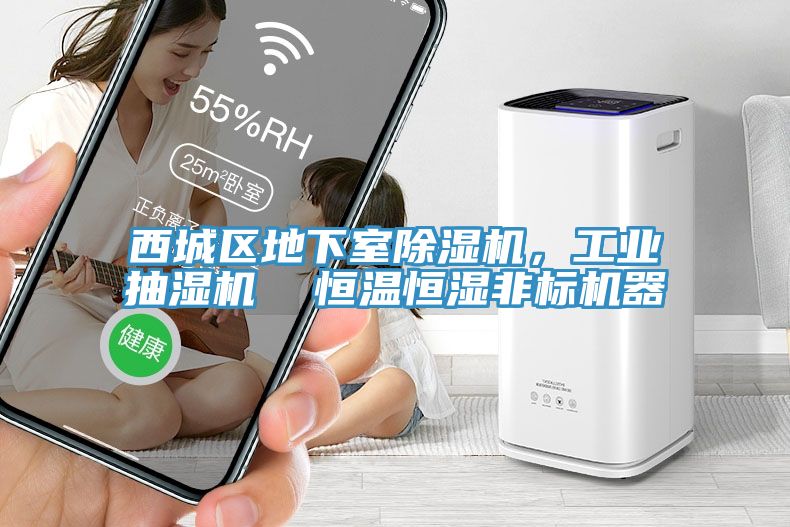 西城區(qū)地下室除濕機(jī)，工業(yè)抽濕機(jī)  恒溫恒濕非標(biāo)機(jī)器