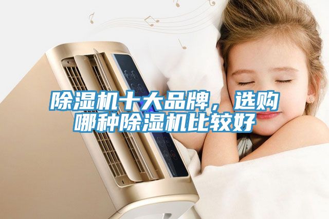 除濕機(jī)十大品牌，選購(gòu)哪種除濕機(jī)比較好