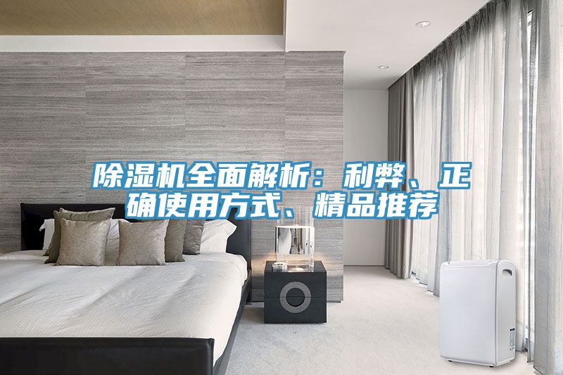 除濕機(jī)全面解析：利弊、正確使用方式、精品推薦