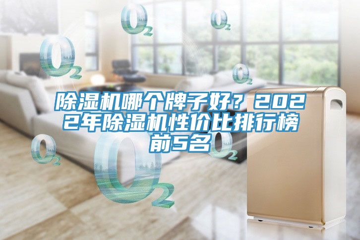 除濕機哪個牌子好？2022年除濕機性價比排行榜前5名
