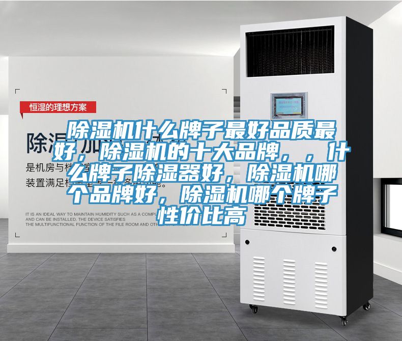 除濕機(jī)什么牌子最好品質(zhì)最好，除濕機(jī)的十大品牌，，什么牌子除濕器好，除濕機(jī)哪個品牌好，除濕機(jī)哪個牌子性價比高