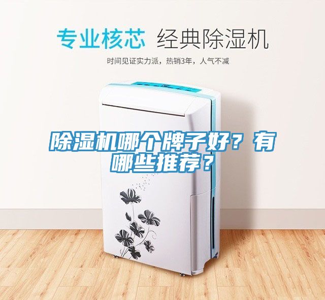 除濕機哪個牌子好？有哪些推薦？