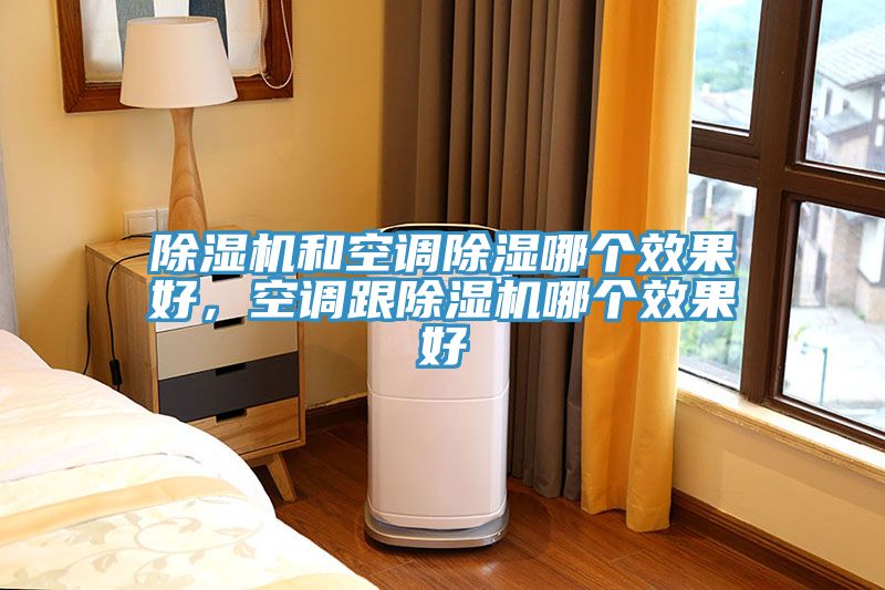 除濕機和空調(diào)除濕哪個效果好，空調(diào)跟除濕機哪個效果好