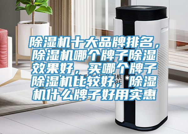 除濕機(jī)十大品牌排名，除濕機(jī)哪個(gè)牌子除濕效果好，買哪個(gè)牌子除濕機(jī)比較好，除濕機(jī)什么牌子好用實(shí)惠
