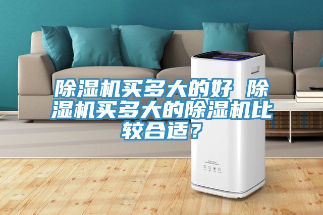 除濕機買多大的好 除濕機買多大的除濕機比較合適？