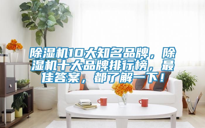 除濕機10大知名品牌，除濕機十大品牌排行榜，最佳答案，都了解一下！