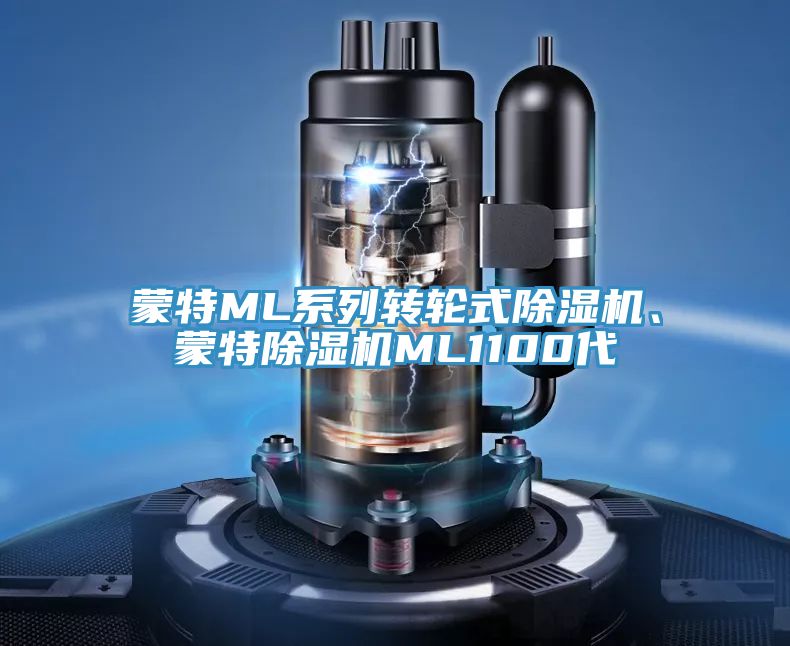 蒙特ML系列轉(zhuǎn)輪式除濕機、蒙特除濕機ML1100代