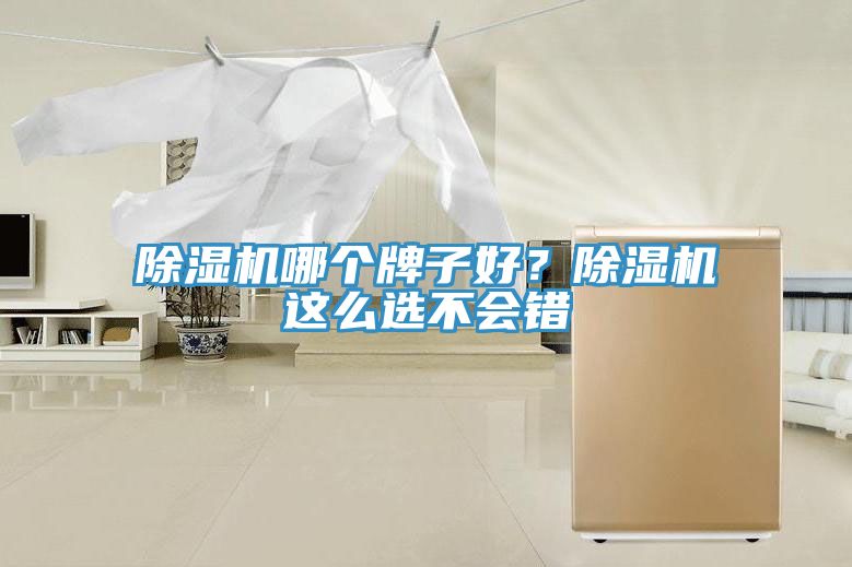 除濕機哪個牌子好？除濕機這么選不會錯
