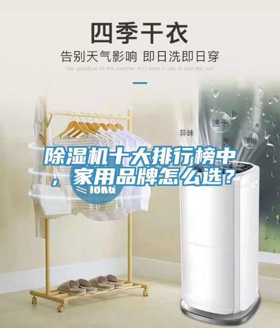 除濕機(jī)十大排行榜中，家用品牌怎么選？