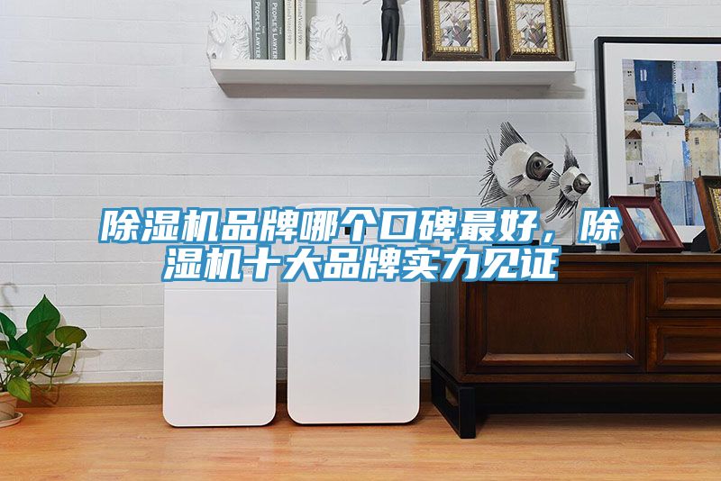 除濕機(jī)品牌哪個(gè)口碑最好，除濕機(jī)十大品牌實(shí)力見證