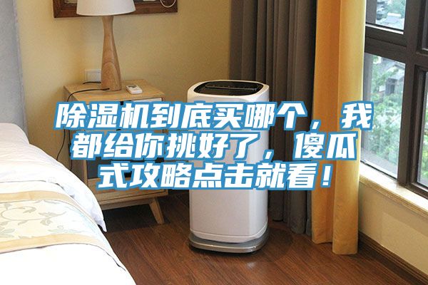 除濕機(jī)到底買哪個(gè)，我都給你挑好了，傻瓜式攻略點(diǎn)擊就看！