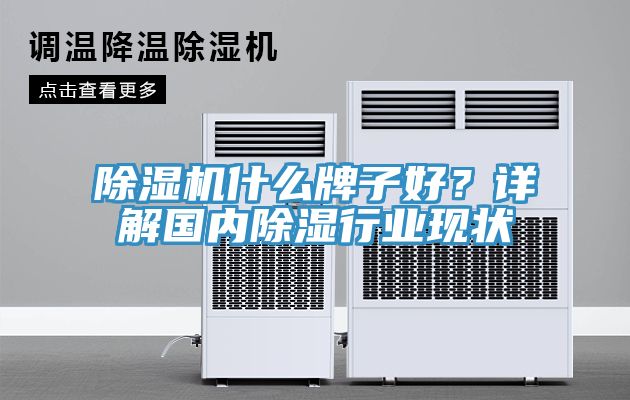 除濕機(jī)什么牌子好？詳解國(guó)內(nèi)除濕行業(yè)現(xiàn)狀