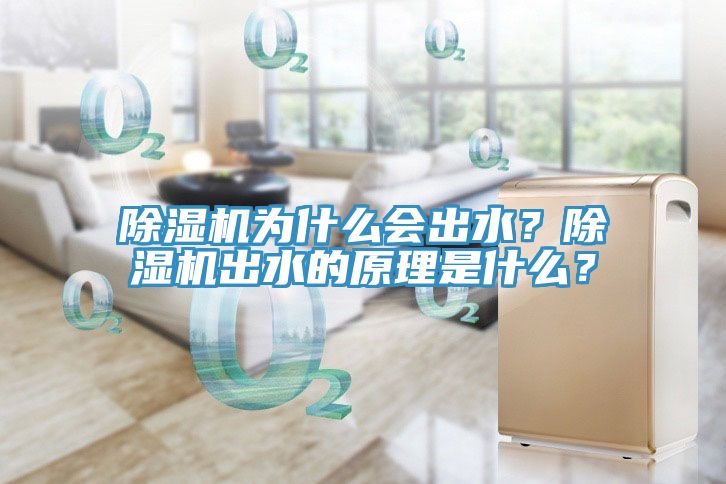 除濕機為什么會出水？除濕機出水的原理是什么？