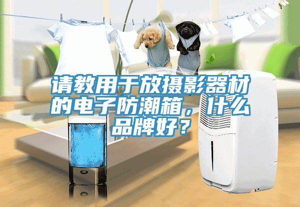 請教用于放攝影器材的電子防潮箱，什么品牌好？