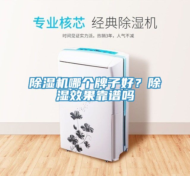 除濕機哪個牌子好？除濕效果靠譜嗎
