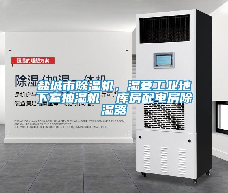 鹽城市除濕機，濕菱工業(yè)地下室抽濕機  庫房配電房除濕器