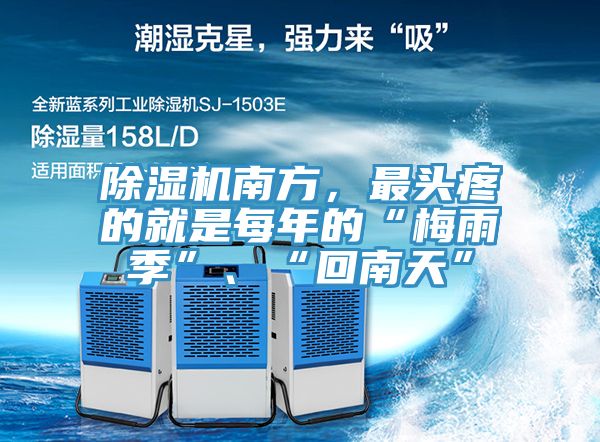 除濕機南方，最頭疼的就是每年的“梅雨季”、“回南天”