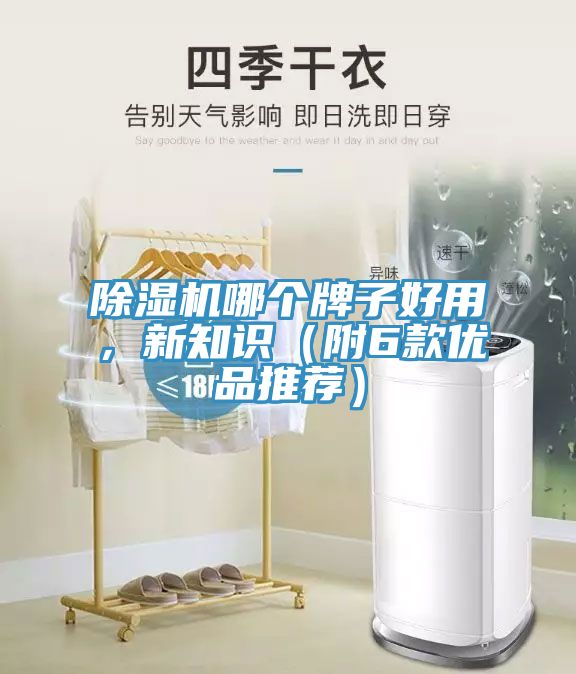 除濕機哪個牌子好用，新知識（附6款優(yōu)品推薦）