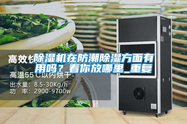 除濕機(jī)在防潮除濕方面有用嗎？看你放哪里_重復(fù)
