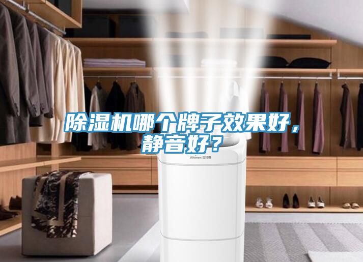 除濕機(jī)哪個牌子效果好，靜音好？