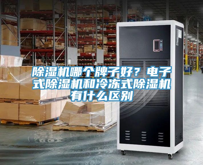 除濕機哪個牌子好？電子式除濕機和冷凍式除濕機有什么區(qū)別