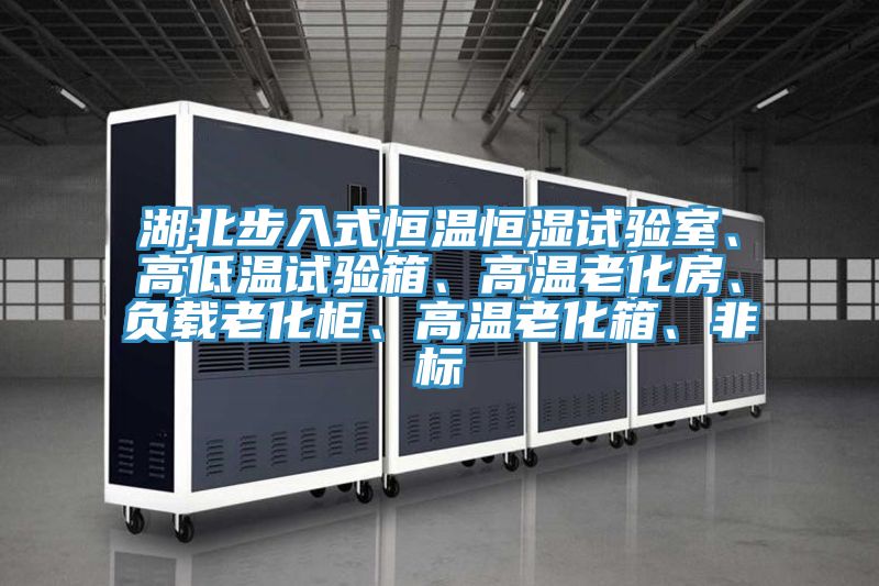 湖北步入式恒溫恒濕試驗(yàn)室、高低溫試驗(yàn)箱、高溫老化房、負(fù)載老化柜、高溫老化箱、非標(biāo)