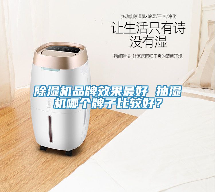 除濕機(jī)品牌效果最好 抽濕機(jī)哪個(gè)牌子比較好？